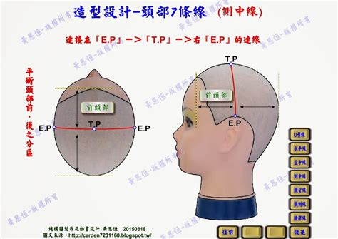 頭部七條基準線中，側頭線是|修剪基礎：頭部點與線